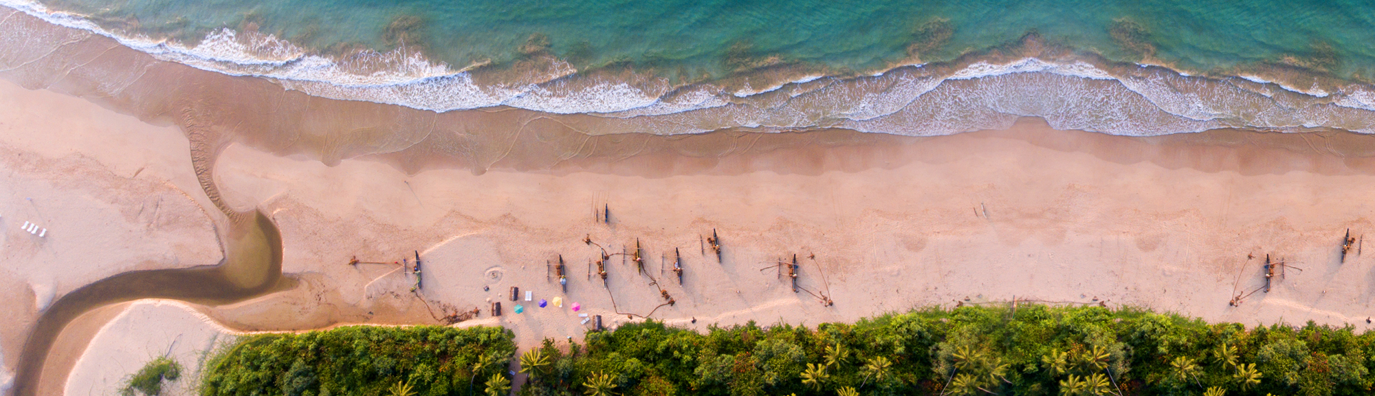 Contat Us Elephant Toe | elephanttoe.com